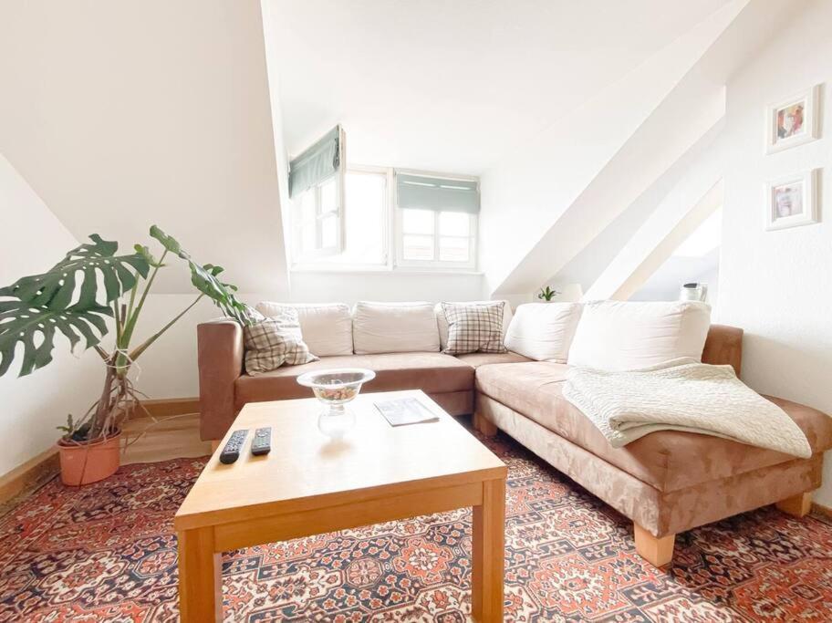 Schoene Ferienwohnung Mit Blick Ueber Stadtwald Лейпциг Экстерьер фото